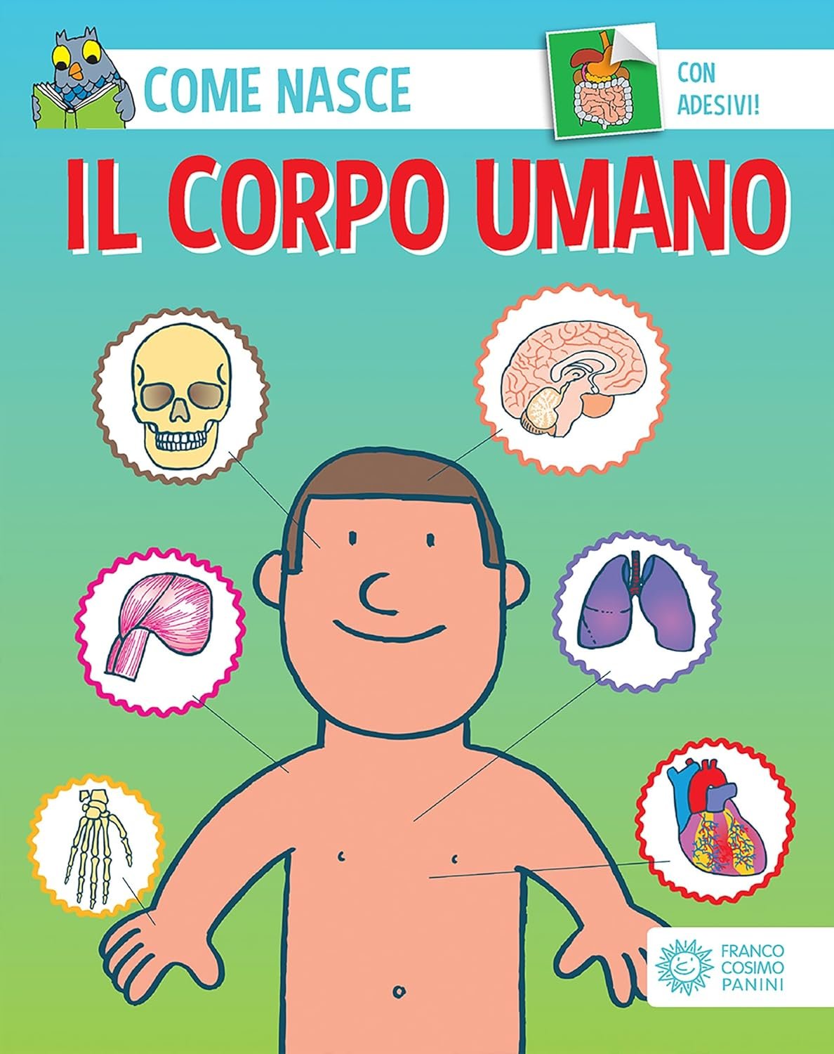 Il corpo umano. Ediz. un colore. Con Adesivi
